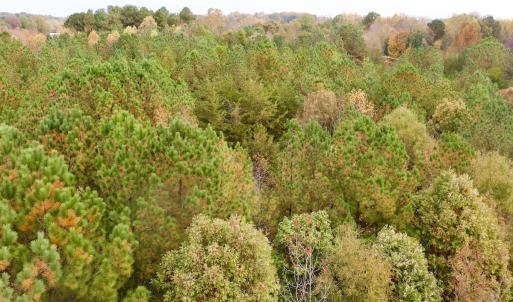 Photo #27 of Off Swing Dairg Road, Lexington, NC 27.1 acres