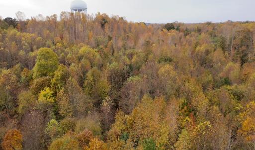 Photo #28 of Off Swing Dairg Road, Lexington, NC 27.1 acres