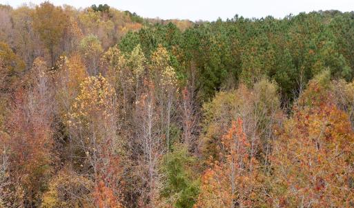 Photo #29 of Off Swing Dairg Road, Lexington, NC 27.1 acres