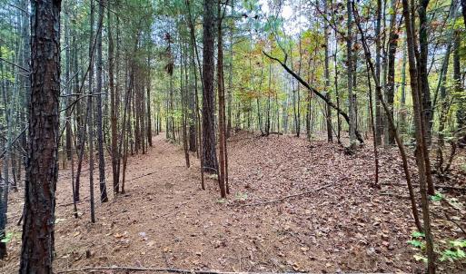 Photo #34 of Off Swing Dairg Road, Lexington, NC 27.1 acres