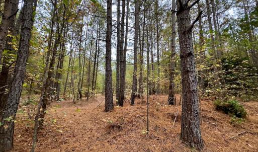 Photo #35 of Off Swing Dairg Road, Lexington, NC 27.1 acres