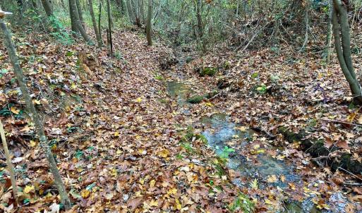 Photo #36 of Off Swing Dairg Road, Lexington, NC 27.1 acres