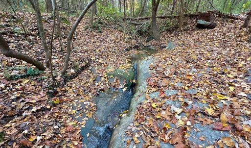 Photo #37 of Off Swing Dairg Road, Lexington, NC 27.1 acres