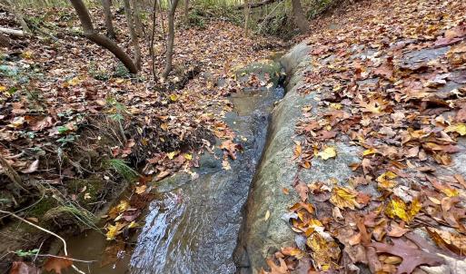 Photo #38 of Off Swing Dairg Road, Lexington, NC 27.1 acres