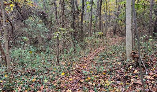 Photo #39 of Off Swing Dairg Road, Lexington, NC 27.1 acres