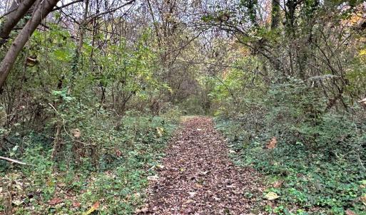 Photo #40 of Off Swing Dairg Road, Lexington, NC 27.1 acres