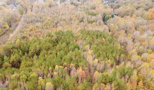 Photo #44 of Off Swing Dairg Road, Lexington, NC 27.1 acres