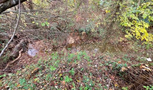 Photo #47 of Off Swing Dairg Road, Lexington, NC 27.1 acres
