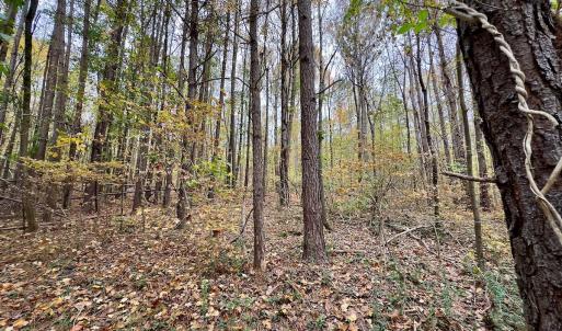 Photo #49 of Off Swing Dairg Road, Lexington, NC 27.1 acres