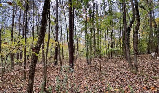 Photo #50 of Off Swing Dairg Road, Lexington, NC 27.1 acres