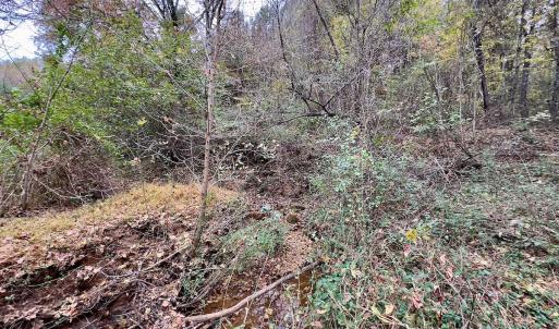 Photo #51 of Off Swing Dairg Road, Lexington, NC 27.1 acres