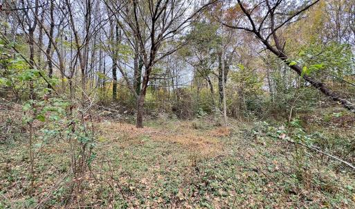 Photo #52 of Off Swing Dairg Road, Lexington, NC 27.1 acres