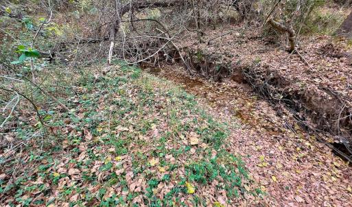 Photo #53 of Off Swing Dairg Road, Lexington, NC 27.1 acres