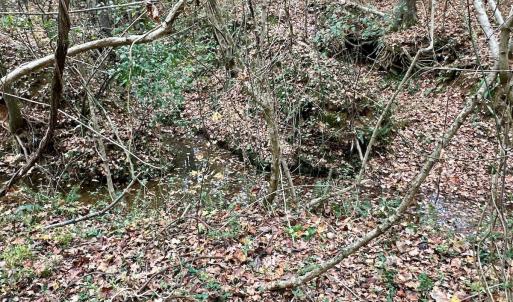 Photo #54 of Off Swing Dairg Road, Lexington, NC 27.1 acres