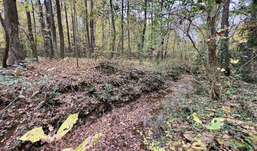 Photo #55 of Off Swing Dairg Road, Lexington, NC 27.1 acres