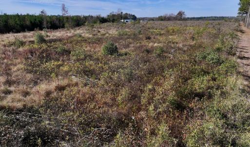 Photo #10 of SOLD property in Off High Level Rd, Pinetops, NC 17.6 acres