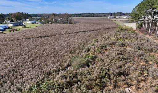 Photo #11 of SOLD property in Off High Level Rd, Pinetops, NC 17.6 acres