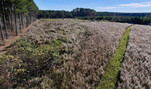 Photo #12 of SOLD property in Off High Level Rd, Pinetops, NC 17.6 acres