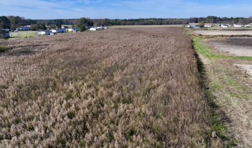Photo #13 of SOLD property in Off High Level Rd, Pinetops, NC 17.6 acres