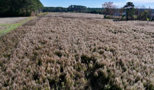 Photo #14 of SOLD property in Off High Level Rd, Pinetops, NC 17.6 acres