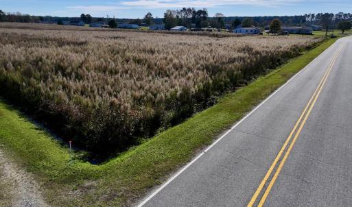Photo #15 of SOLD property in Off High Level Rd, Pinetops, NC 17.6 acres