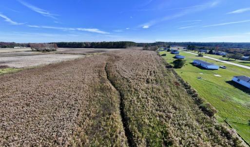 Photo #17 of SOLD property in Off High Level Rd, Pinetops, NC 17.6 acres