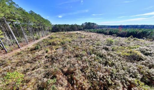 Photo #19 of SOLD property in Off High Level Rd, Pinetops, NC 17.6 acres