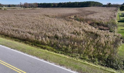 Photo #3 of SOLD property in Off High Level Rd, Pinetops, NC 17.6 acres