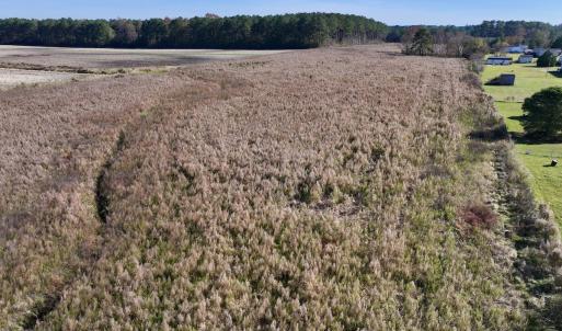 Photo #4 of SOLD property in Off High Level Rd, Pinetops, NC 17.6 acres