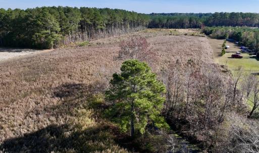Photo #5 of SOLD property in Off High Level Rd, Pinetops, NC 17.6 acres