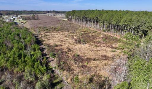 Photo #6 of SOLD property in Off High Level Rd, Pinetops, NC 17.6 acres
