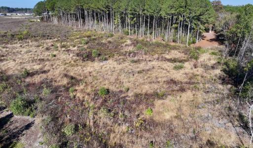 Photo #9 of SOLD property in Off High Level Rd, Pinetops, NC 17.6 acres