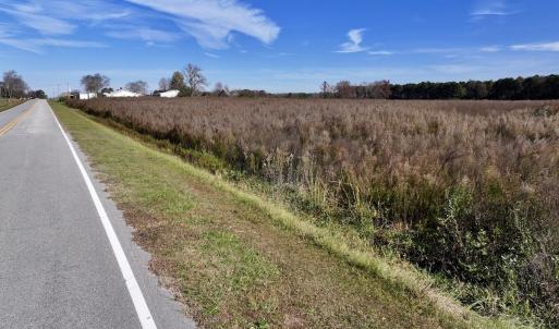 Photo #22 of SOLD property in Off High Level Rd, Pinetops, NC 17.6 acres