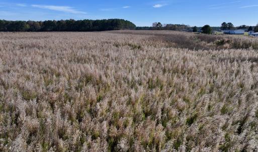 Photo #23 of SOLD property in Off High Level Rd, Pinetops, NC 17.6 acres