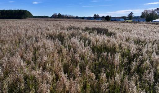 Photo #24 of SOLD property in Off High Level Rd, Pinetops, NC 17.6 acres