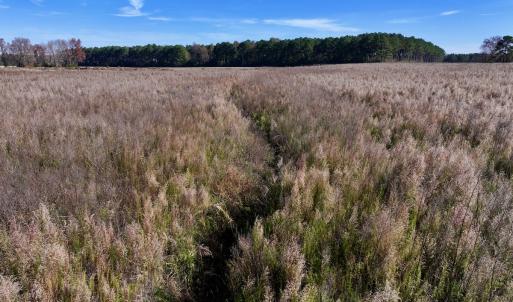 Photo #25 of SOLD property in Off High Level Rd, Pinetops, NC 17.6 acres