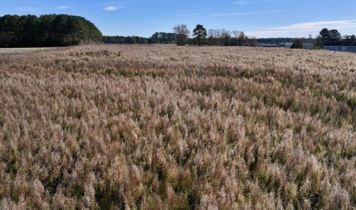 Photo #26 of SOLD property in Off High Level Rd, Pinetops, NC 17.6 acres