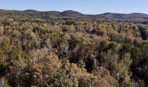 Photo #10 of SOLD property in 124 Monroe Court, Troy, NC 0.6 acres