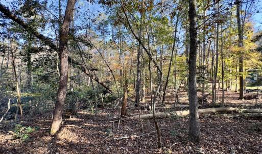 Photo #11 of SOLD property in 124 Monroe Court, Troy, NC 0.6 acres