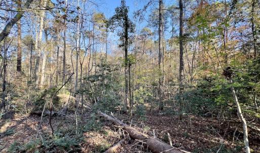 Photo #12 of SOLD property in 124 Monroe Court, Troy, NC 0.6 acres