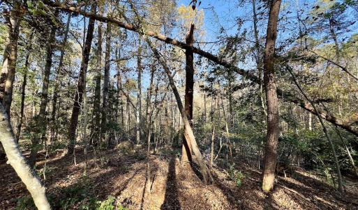 Photo #13 of SOLD property in 124 Monroe Court, Troy, NC 0.6 acres