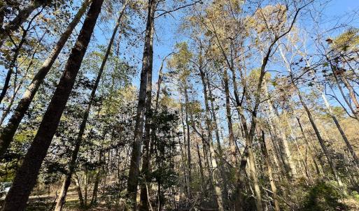Photo #14 of SOLD property in 124 Monroe Court, Troy, NC 0.6 acres
