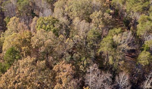 Photo #15 of SOLD property in 124 Monroe Court, Troy, NC 0.6 acres