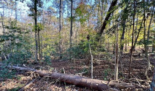 Photo #18 of SOLD property in 124 Monroe Court, Troy, NC 0.6 acres