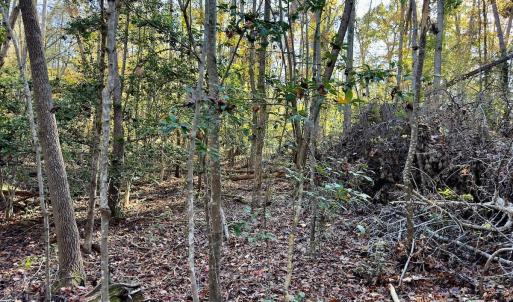 Photo #19 of SOLD property in 124 Monroe Court, Troy, NC 0.6 acres