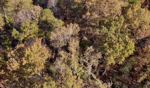 Photo #2 of SOLD property in 124 Monroe Court, Troy, NC 0.6 acres