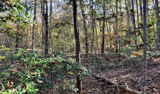 Photo #20 of SOLD property in 124 Monroe Court, Troy, NC 0.6 acres