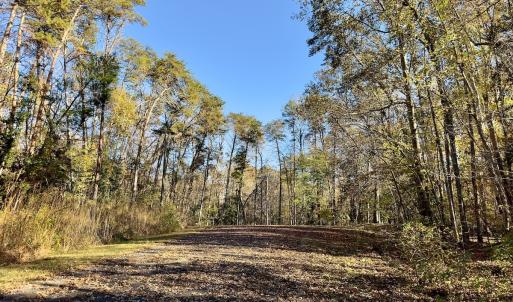 Photo #3 of SOLD property in 124 Monroe Court, Troy, NC 0.6 acres