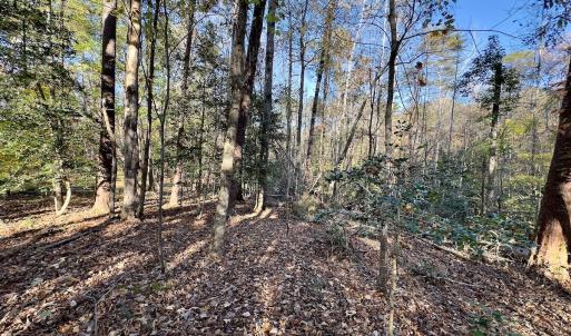 Photo #5 of SOLD property in 124 Monroe Court, Troy, NC 0.6 acres