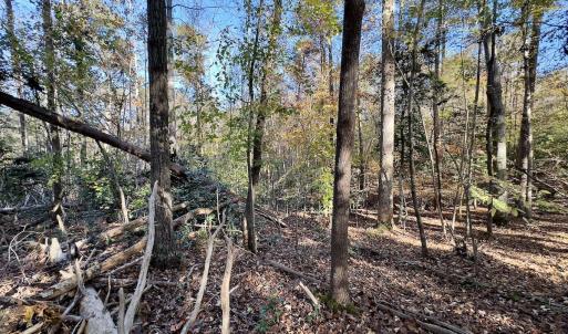 Photo #6 of SOLD property in 124 Monroe Court, Troy, NC 0.6 acres